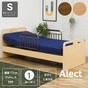 電動ベッド 1モーター マットレス付き 介護ベッド 手すり付き 非課税 電動リクライニングベッド / 介護向け 介護用ベッド ベッド シングル シングルベッド ポケットマットレス付き ポケットコイル リクライニング 手すり付き 電動 木製 高さ調節 通販 送料無料 sanjp-0914