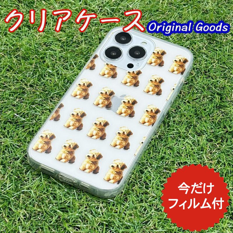 iphone16e ������ ���襤�� �ڹ� iphone16 ������ iphone15 ������ iphone14 ������ iphone13 ������ iphone...