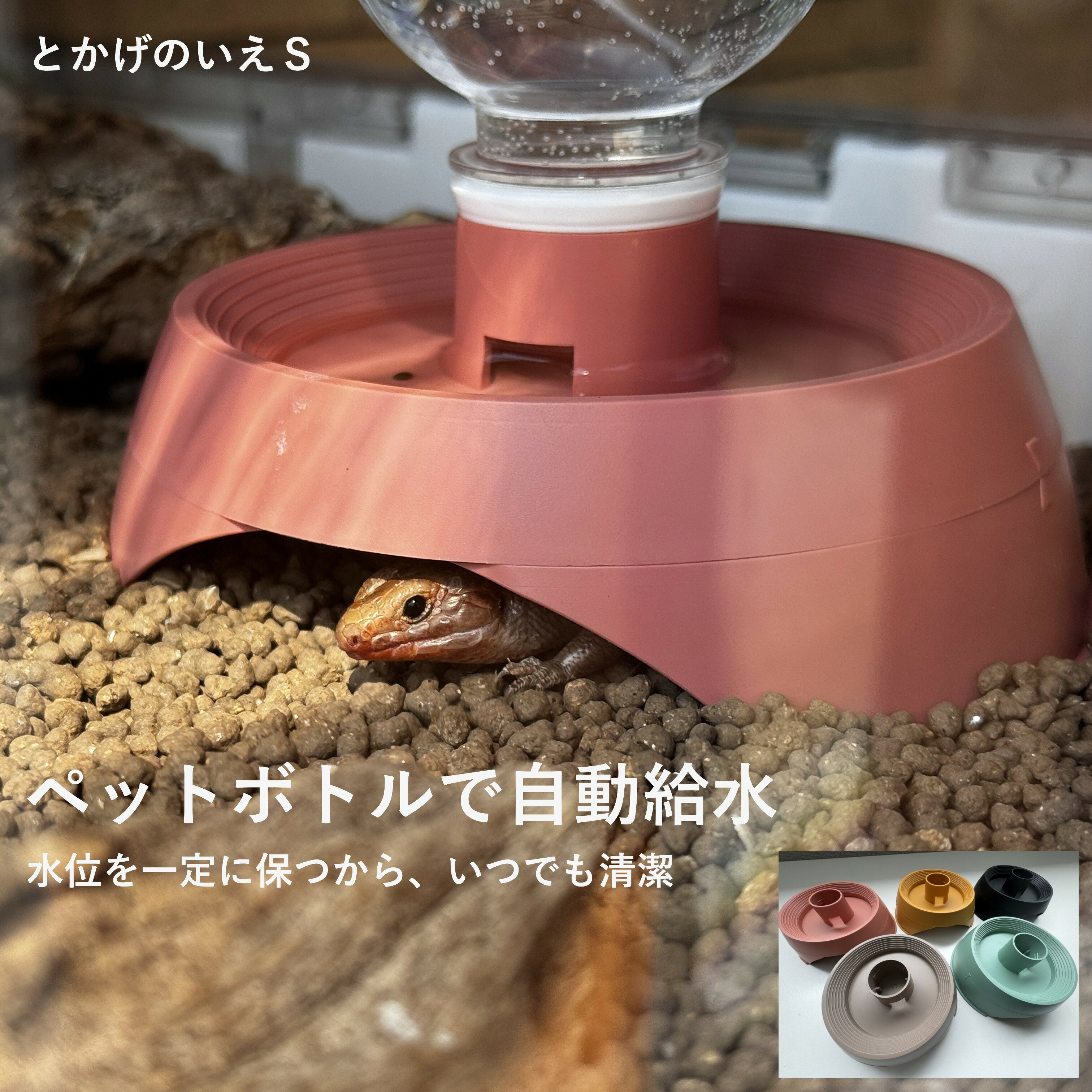 楽天市場】ウェットシェルター 水苔の通販