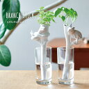 【お得なクーポン配布中!】 ギフト 栽培セット 陶器 聖新陶芸 栽培キット 室内 ハーブ ワイルドストロベリー バジル おしゃれ 母の日 父の日 プレゼント