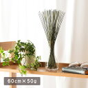 母の日 ギフト 父の日 ギフト い草 スティック ナチュラル インテリア 「 みらい フレグラス 」 60cm×50g irucicoシリーズ 空気清浄 調湿効...