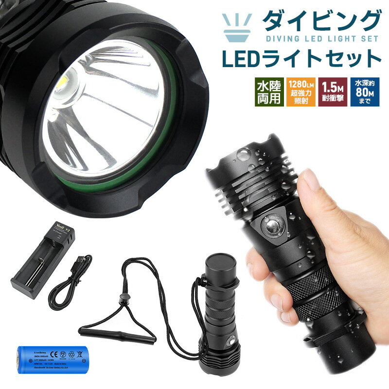 【楽天1位獲得】LEDハンディライト 