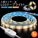 車 センサーライト 庭 5v usb 1m 人感センサー LED テープライト 防水 屋内 コネクター led照明 クローゼット 粘着テープ 常夜灯 小型 ledライト 自動点灯 玄関 階段 廊下 寝室 温白色 屋外 人感センサーライト フットライト 昼光色 3500k 6000k おしゃれ