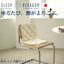 公式 スリープヘキサゴン ホルミシス腰クッション 腰 サポート ホルミシス 商品 ラジウムマット 健康マット 健康に良いもの 椅子のクッション イスのクッション ペットクッション ペットマット マルチマット マルチクッション sleephexagon ラジウム ホルミシス効果