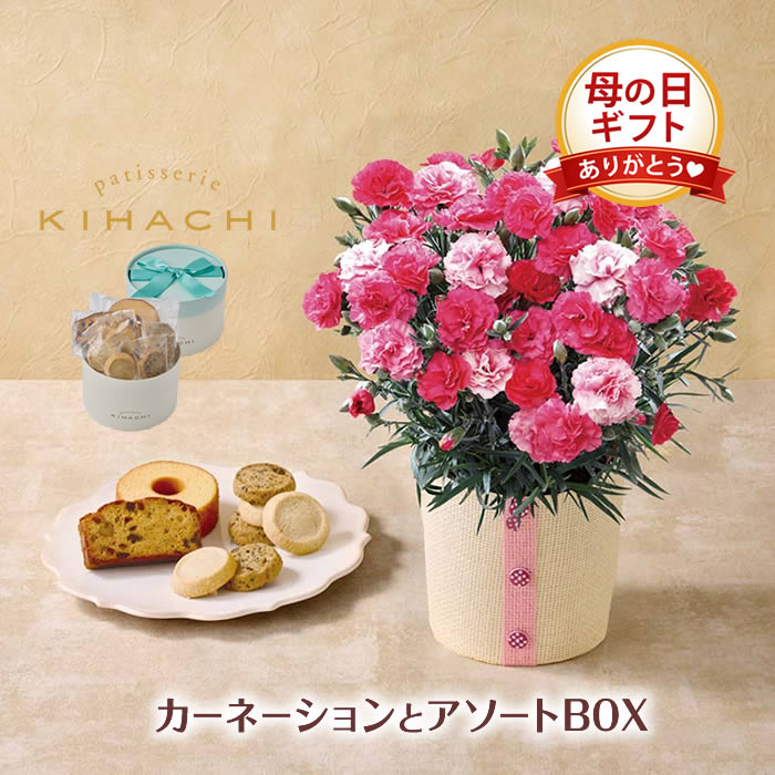 母の日ギフト カーネ�