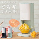 Otona オトナ 電動ふわふわとろ雪かき氷器 DTY-B1BK DTY-B1GR ／ とろ雪 かき氷器 電動ふわふわ 家庭用 電動 専用レシピ付き ドウシシャ 夏物家電 お家時間 プレゼント