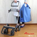 ROLSER 4輪フレーム ロルサー / フレームのみ ショ...