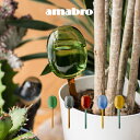 amabro アマブロ TWO TONE WATER DISPENSER ディスペンサー Lサイズ 村上美術 ／ アンプル 液体肥料入れ 植物