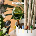 amabro アマブロ TWO TONE WATER DISPENSER ディスペンサー Sサイズ 村上美術 ／ アンプル 液体肥料入れ 植物