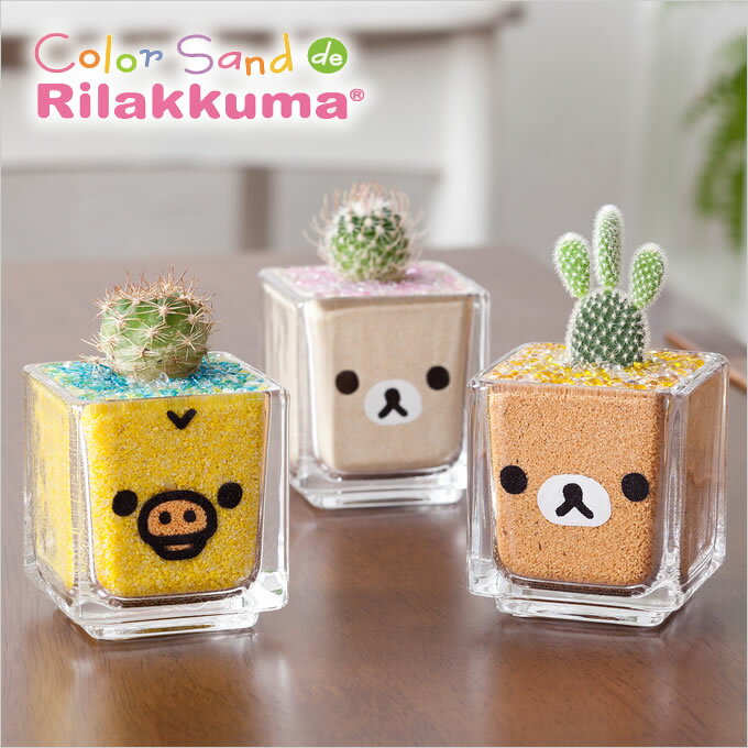 サウンドスパイス カラーサンドdeリラックマミニ Rilakkuma カラーサンド colorsand サボテン 観葉植物 寄せ植え 土 コリラックマ ミニサボテン プレゼント 種類 ボックス 内祝い クリスマス お返し 誕生日 ギフト 女性 プチギフト