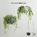 プラントポット 201 鉢植え 直径17.4cm ／プラントポット 観葉植物 北欧 おしゃれ シンプル インテリア 雑貨 プランター フラワーポットガーデニング