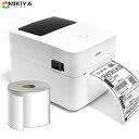 感熱ラベルプリンター 業務用 USB接続 高速 PDラベル 配送ラベルプリンター 4インチ幅対応 A6サイズ相当 配達 小包 物流 クリックポスト FBA ラベ...