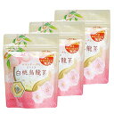 白桃烏龍茶 ティーバッグ 凍頂烏龍茶葉使用 (2.5g×8P×3袋)【在庫あり】
