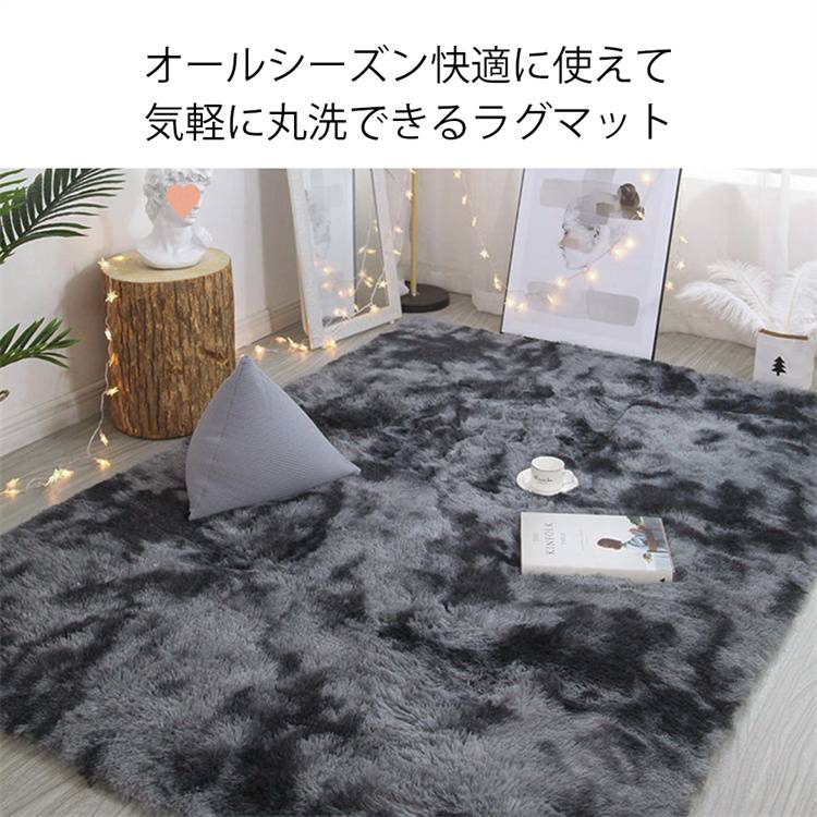 2025年の新商品更新 5色展開 水洗可能 長毛ドアマット200×250cm 玄関用 滑り止め付き 北欧風ラグ(N)