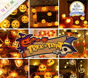 ハロウィン飾り LED ライト Halloween限定 装飾 かぼちゃ お化け コウモリ 電飾 吊り下げ 電池式 室内(N)