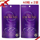 プレミアム エクソソーム 40C カプセル 40粒 x 2袋セット(N)