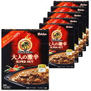 【在庫あり】ジャワカレー <大人の激辛> (6個セット)(4)