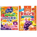 【在庫あり】ノンシュガー 果実のど飴/バヤリースとろける果実のど飴(2種類)