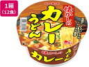 【2セット】ヤマダイ ニュータッチ 懐かしのカレーうどん 12食【F倉庫】