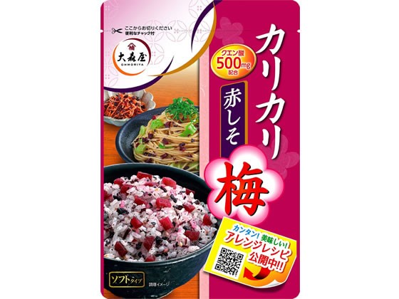 【10個セット】大森屋 カリカリ梅赤しそ 40G【F倉庫】