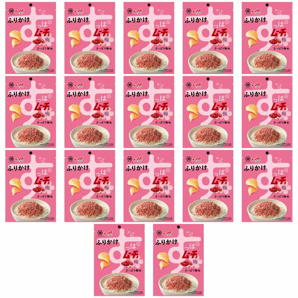 ニチフリ食品 すっぱムーチョふりかけ さっぱり梅味 20g × 17【Y倉庫】