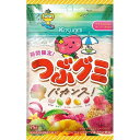【10セット】春日井製菓 つぶグミバカンス 75g【Y倉庫】