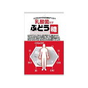 【7セット】大丸本舗 乳酸菌入りぶどう糖 2g×20粒【Y倉庫】