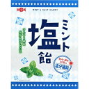 【10セット】日進製菓 ミント塩飴 80g【Y倉庫】