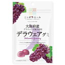【10セット】JA全農 ニッポンエール 大阪府産 デラウェアグミ 40g【Y倉庫】