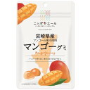 【10セット】JA全農 ニッポンエール 宮崎県産 マンゴーグミ 40g【Y倉庫】