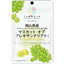 【10セット】ニッポンエール ニッポンエール 岡山県産 マスカット・オブ・アレキサンドリアグミ 40g【Y倉庫】