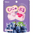 【12セット】カバヤ ピュアラルグミ ぶどう 58g【Y倉庫】