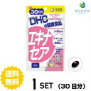 商品説明名称サプリメント DHC エキナセア 30日分 （90粒）原材料 エキナセア 1日3粒総重量1350mg（内容量900mg）あたりエキナセアエキス285mg、ビタミンE（d-α-トコフェロール）12mg 【原材料】オリーブ油（スペイン製造）、エキナセアエキス末（エキナセアエキス、デキストリン）/ゼラチン、グリセリン、グリセリン脂肪酸エステル、ミツロウ、カラメル色素、ビタミンE使用方法 1日の目安量を守って、お召し上がりください。最初は少なめの粒数からはじめ、ご自分の体調にあわせて摂取量を調整して下さい。本品は過剰摂取をさけ、1日の摂取目安量を超えないようにお召し上がりください。水またはぬるま湯でお召し上がりください。 ご注意お子様の手の届かないところで保管してください。 開封後はしっかり開封口を閉め、なるべく早くお召し上がりください。お身体に異常を感じた場合は、飲用を中止してください。 原材料をご確認の上、食品アレルギーのある方はお召し上がりにならないでください。 薬を服用中あるいは通院中の方、妊娠中の方は、お医者様にご相談の上、お召し上がりください。 食生活は、主食、主菜、副菜を基本に、食事のバランスを。 ※本品は天然素材を使用しているため、色調に若干差が生じる場合があります。これは色の調整をしていないためであり、成分含有量や品質に問題ありません。 配送について 代金引換はご利用いただけませんのでご了承くださいませ。通常ご入金確認が取れてから3日〜8日程度でお届けいたしますが、物流の状況により2週間ほどお時間をいただくこともございます。 また、この商品は通常メーカーの在庫商品となっておりますので、メーカ在庫切れの場合がございます。その場合はキャンセルさせていただくこともございますのでご了承くださいませ。 送料無料寒い季節の常備アイテムアメリカの中央部及び南西部原産のエキナセアは、ネイティブアメリカンが古くから愛用しているキク科のハーブ。身体が本来持つ力と体調のセルフケアに、元気な毎日を応援します。※水またはぬるま湯でお召し上がりください。※本品は天然素材を使用しているため、色調に若干差が生じる場合があります。これは色の調整をしていないためであり、成分含有量や品質に問題はありません。←お得な2セット　購入はこちら!←さらにお得な3セット　購入はこちら!←さらに超お得な5セット　購入はこちら!