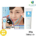 薬用サラガオ 30g 日本製 化粧崩れ防止 顔汗 汗かき 薬用 制汗クリーム ×1セット
