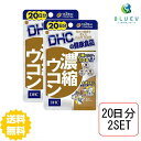 DHC サプリメント 濃縮ウコン 20日分 （40粒）×2セット