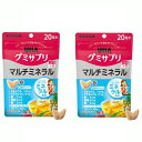 【2セット】 グミサプリ マルチミネラル 20日分 40粒入 おすすめ グミサプリ UHA味覚糖栄養 1日2粒 トロピカルエナジー味 健康管理 食生活 ミネラル 鉄 カルシウム コラーゲン 簡単 おいしい 食品 オススメ チャック付き 持ち運び 食べやすい おやつ お手軽