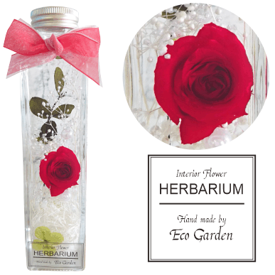 042 薔薇 レッド ローズ 赤 ハーバリウム herbarium プリザーブドフラワー ドライフラワー 送料無料 ラッピング無料 メッセージカード無料 花 おしゃれ 人気 ギフト プレゼント フラワー 華やか 豪華 インテリア 雑貨 誕生日 お祝い お返し 記念日