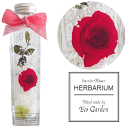 042 薔薇 レッド ローズ 赤 ハーバリウム herbarium プリザーブドフラワー ドライフラワー 送料無料 ラッピング無料 メッセージカード無料 花 お...