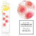 045 千日紅 ピンク ハーバリウム herbarium プリザーブドフラワー ドライフラワー 送料無料 ラッピング無料 メッセージカード無料 花 おしゃれ 人気 ギフト プレゼント フラワー 華やか 豪華 インテリア 雑貨 誕生日 お祝い お返し 記念日の商品画像