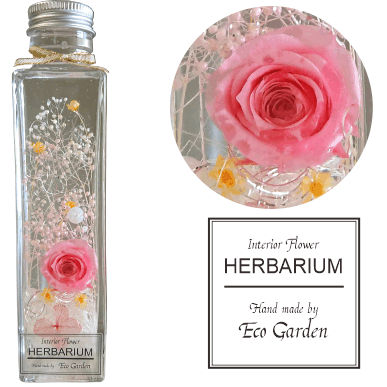 053 薔薇(ピンク）＆スターフラワー ハーバリウム herbarium プリザーブドフラワー ドライフラワー 送料無料 ラッピング無料 メッセージカード無料 花 おしゃれ 人気 ギフト フラワー 華やか 豪華 インテリア 雑貨 誕生日 お祝い お返し 記念日