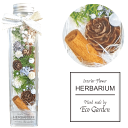 057 (2022年11月人気ナンバー2♪) 大人気 クリスマス winter Xmas ハーバリウム herbarium プリザーブドフラワー 送料無料 ラ...