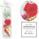 072 薔薇 2種 ローズ rose レッド ピンク ハーバリウム herbarium プリザーブドフラワー ドライフラワー 送料無料 ラッピング無料 メッセー...