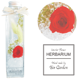 075 薔薇とラグラス レッド ローズ ハーバリウム herbarium プリザーブドフラワー ドライフラワー 送料無料 ラッピング無料 メッセージカード無料 花 おしゃれ 人気 ギフト プレゼント フラワー 華やか 豪華 インテリア 雑貨 誕生日 お祝い お返し 記念日