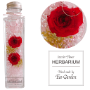 101 (2024年12月・2025年1月・人気ナンバー3♪) 薔薇 2輪 レッド ローズ 赤 ハーバリウム herbarium プリザーブドフラワー 送料無...