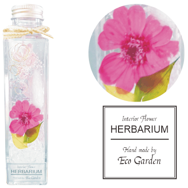 086 ジニア エスプリピンク pink ハーバリウム herbarium プリザーブドフラワー ドライフラワー ピンク 送料無料 ラッピング無料 メッセージカード無料 花 おしゃれ 人気 ギフト プレゼント フラワー 華やか 豪華 インテリア 雑貨 誕生日 お祝い お返し 記念日