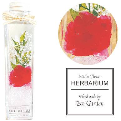 078 カーネーション ストロベリー ハーバリウム herbarium プリザーブドフラワー ドライフラワー 送料無料 ラッピング無料 メッセージカード無料 花...