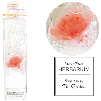 093 カーネーション エンジェルピンク ハーバリウム herbarium プリザーブドフラワー ドライフラワー 送料無料 ラッピング無料 メッセージカード無料 花 おしゃれ 人気 ギフト プレゼント フラワー 華やか 豪華 インテリア 雑貨 誕生日 お祝い お返し 記念日 母の日