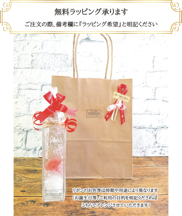 楽天市場 093 母の日 プレゼント ギフト 雑貨 おしゃれ インテリア お花 ハーバリウム カーネーション Herbarium 母の日カーネーション エンジェルピンク 送料無料 ラッピング無料 メッセージカード無料 母の日プレゼント カーネーションギフト 母の日ギフト エコガーデン