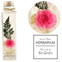 020 薔薇 ピンク pink ハーバリウム herbarium プリザーブドフラワー ドライフラワー 送料無料 ラッピング無料 メッセージカード無料 花 おし...