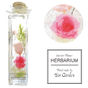 005 バラ 2種 ローズ roses ピンク ハーバリウム herbarium プリザーブドフラワー ドライフラワー 送料無料 ラッピング無料 メッセージカー...